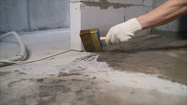 24/7 Emergency Crawl Space Encapsulation experts in New Milford, IL